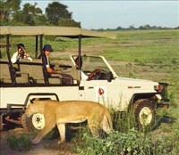 Timbavati